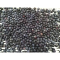 IQF Frozen Blueberry Fruit Prices